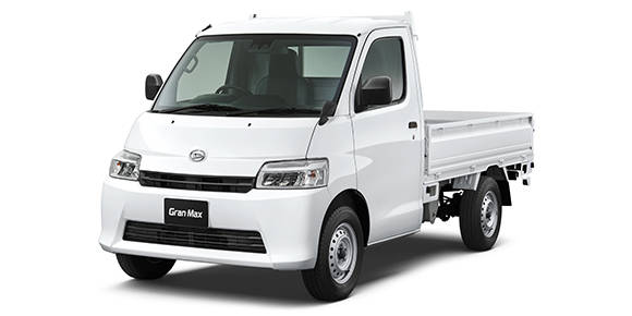 GRAN MAX TRUCK