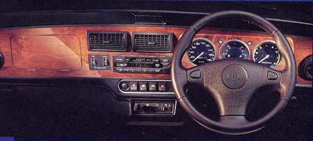 ROVER MINI