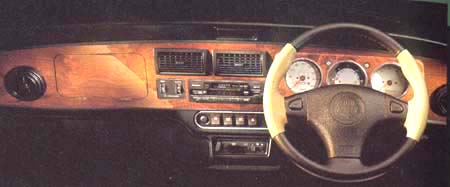 ROVER MINI