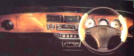 ROVER MINI