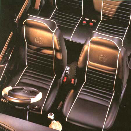 ROVER MINI