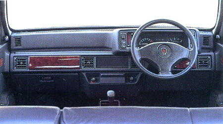 ROVER 100