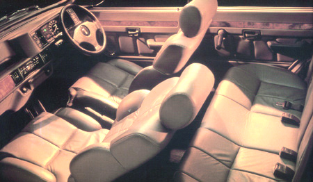ROVER 100