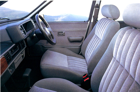 ROVER 100