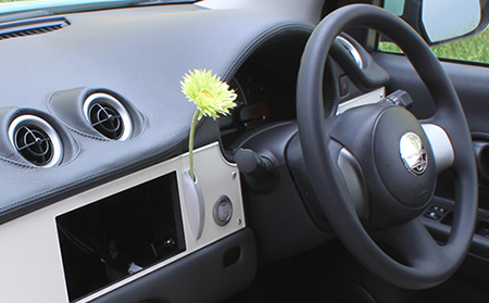 MITSUOKA VIEWT
