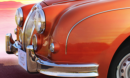 MITSUOKA VIEWT