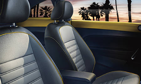 VOLKSWAGEN THE BEETLE