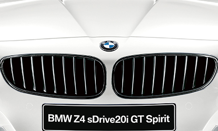 BMW Z4 S DRIVE 20I GT SPIRIT