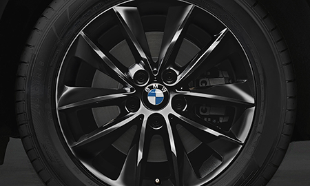 BMW X3 CELEBRATION EDITION BLACKOUT