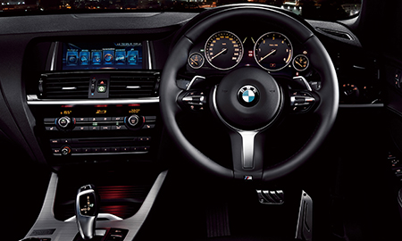 BMW X3 BLACKOUT