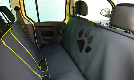 RENAULT KANGOO WITH PET